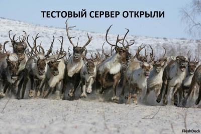 Прикрепленное изображение: alene.jpg